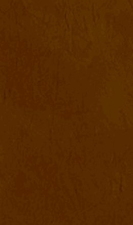 carouselrealty001009.gif